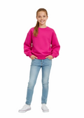 Kids Girl Sweatshirt - Pink (Zara Brand)