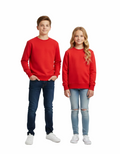 Kids Unisex Sweatshirt (ZARA Brand)