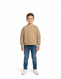 Kids Boys Sweatshirt (ZARA Brand)