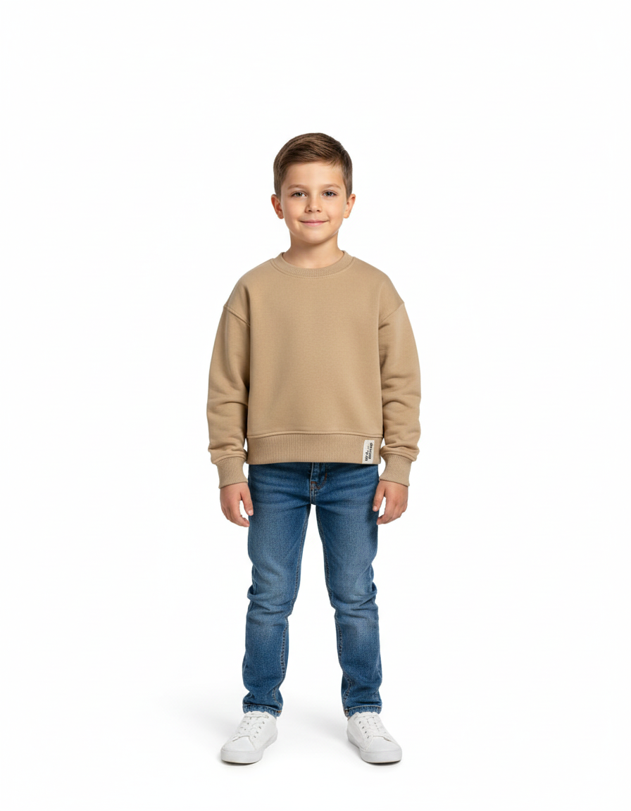 Kids Boys Sweatshirt (ZARA Brand)
