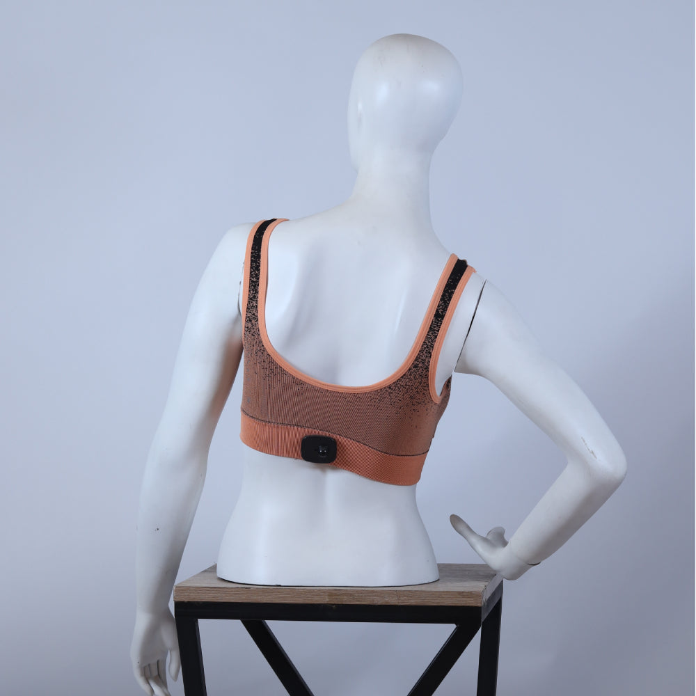 Seamless Ombré Sports Bra – Performance & Comfort Edition