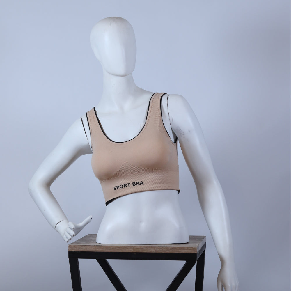 Seamless Ombré Sports Bra – Performance & Comfort Edition