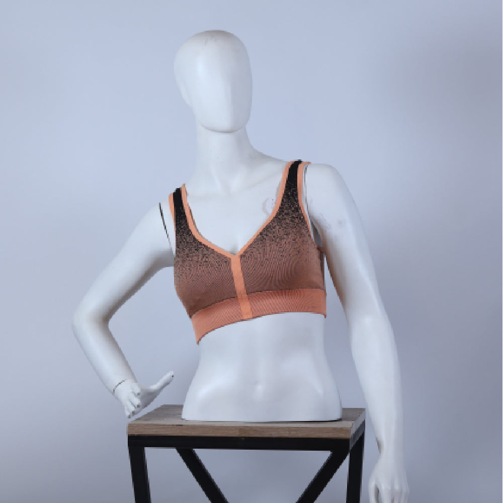 Seamless Ombré Sports Bra – Performance & Comfort Edition