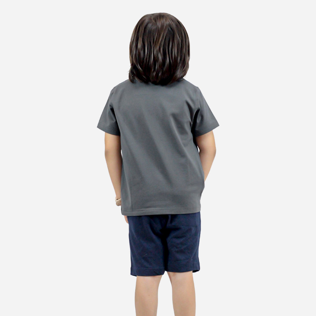 POLO Boys Grey Color T-shirt