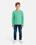 Boys Full Sleeves T-shirt In Green Color